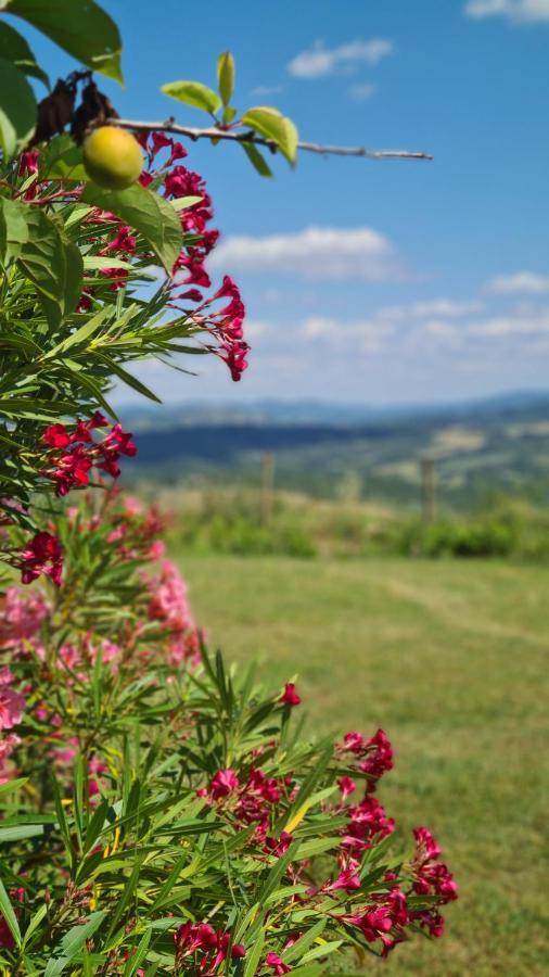 Appartamento Il Nido Volterra Kültér fotó