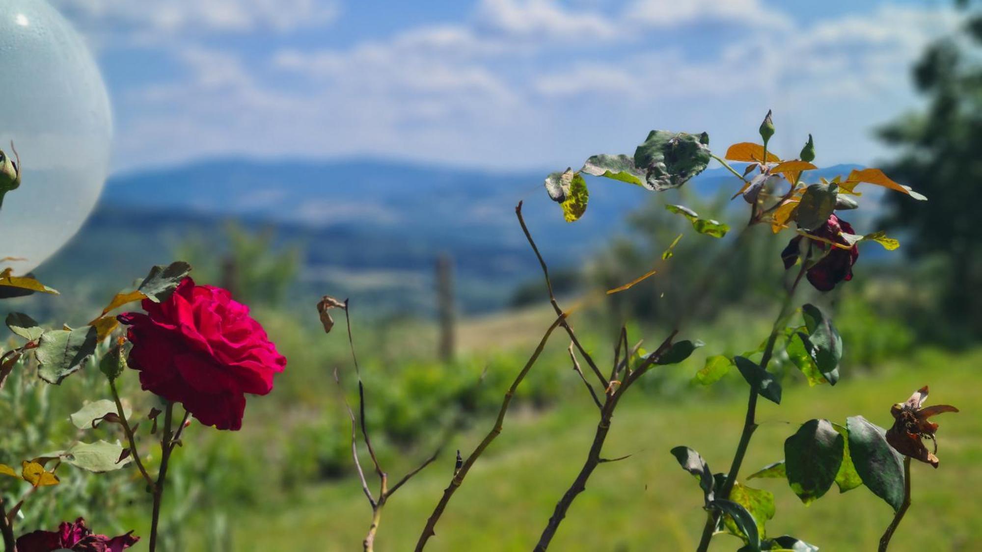 Appartamento Il Nido Volterra Kültér fotó